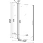 Душові двері PASLENKA 100TC (100T) BRAVO (1уп.)