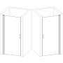 Душові двері PROSNA 100TCW.Line (100W.Line) BRAVO (1уп.)