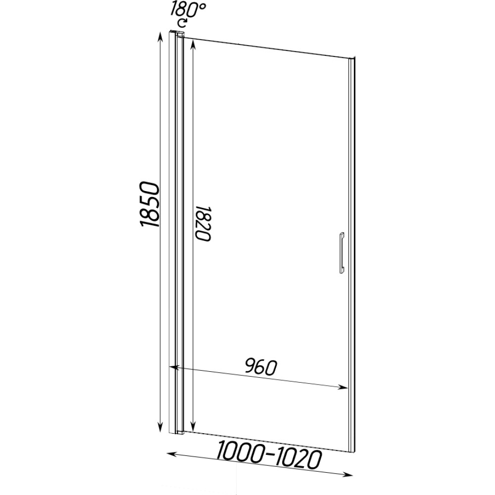 Душові двері PROSNA 100TCW.Line (100W.Line) BRAVO (1уп.)