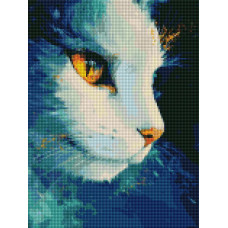Космічна кішка