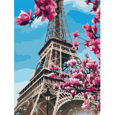 Цвітіння магнолій у Парижі