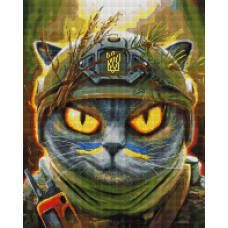 Котик розвідник ©Маріанна Пащук