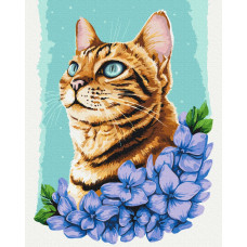 Лазурний котик © Anna Kulyk