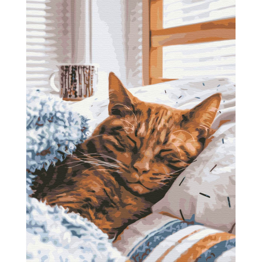 Ранковий котик Ранковий котик