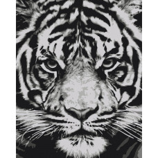 Погляд звіра