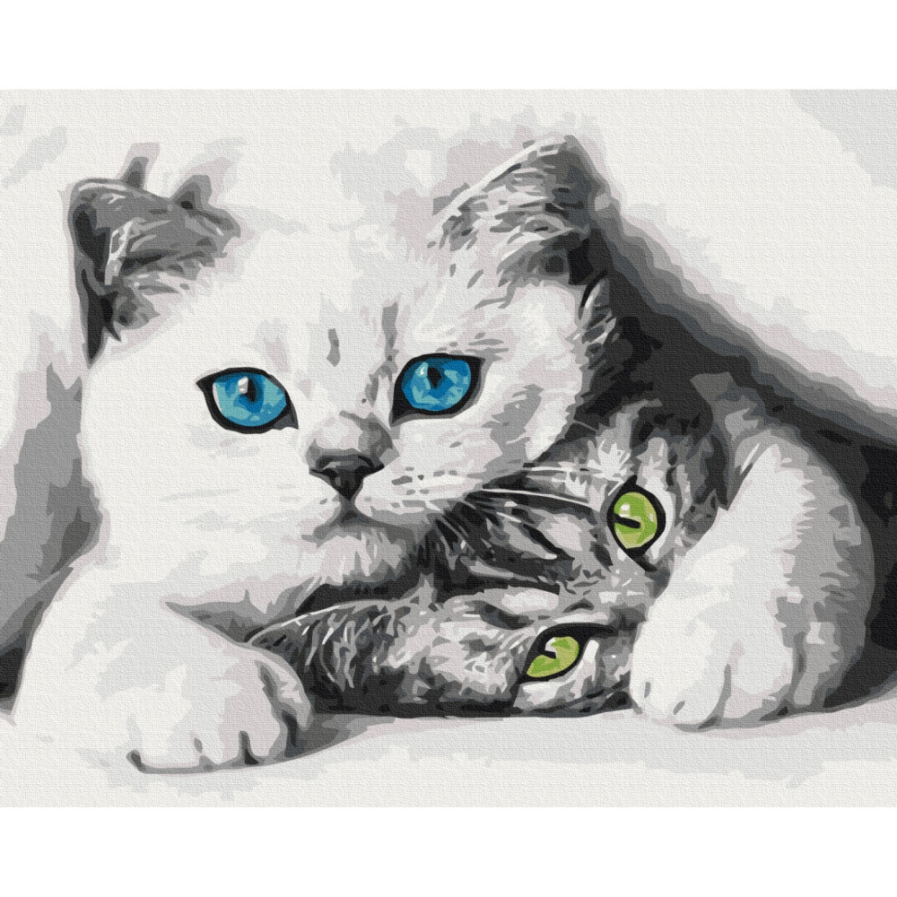 Муркотики