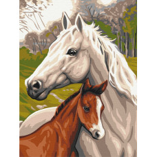 Сім'я коней