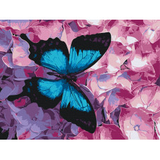 Метелик на квітах