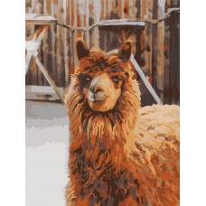 Лама на фермі