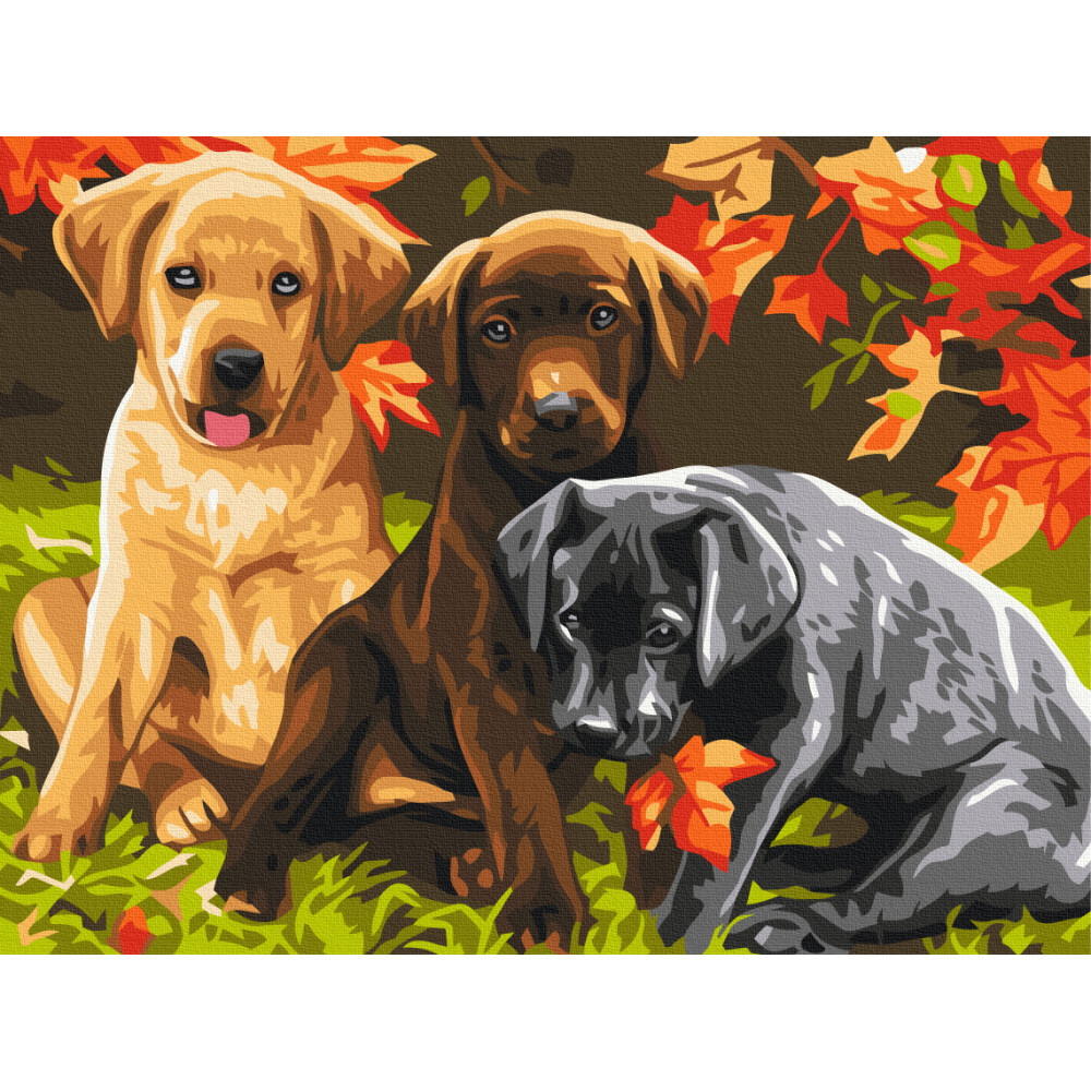 Три цуценята