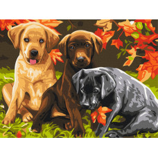 Три цуценята