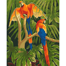 Тропічні птахи