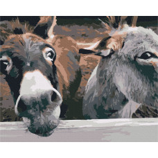 Віслючки на ранчо