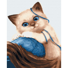 Кошеня з клубком