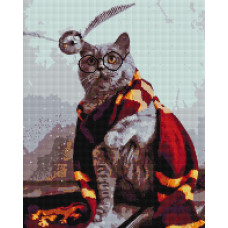 Котик ловець снітчу