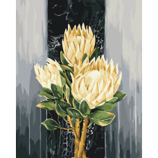 Білі протеї