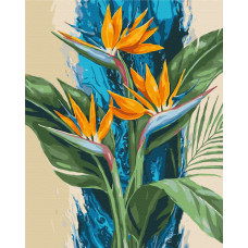 Тропічні стреліції