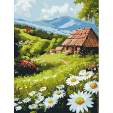 Сільський затишок