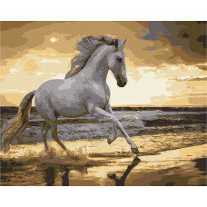 Біг риссю на узбережжі