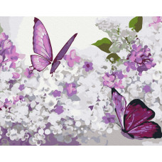 Бузкові метелики