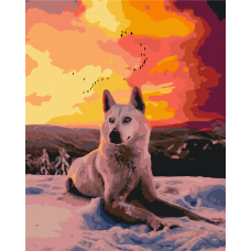 Арктичний вовк