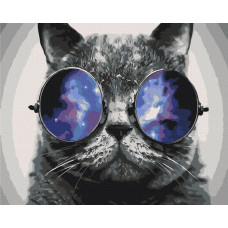 Котик на Маямі