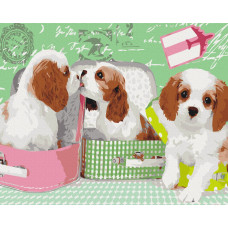 Милі цуценятка у валізах