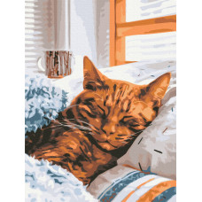 Ранковий котик