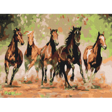 Табун коней