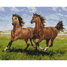 Скакуни на пробіжці