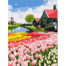 Голландська провінція