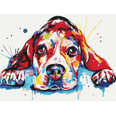 Веселковий улюбленець