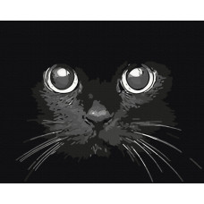 Погляд ночі