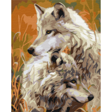 Пара степових вовків