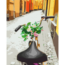 Велопрогулянка старим містом