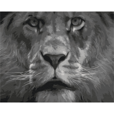 Лев в чорно-білих тонах