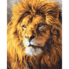 Погляд на прайд