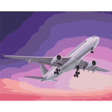 Літак в небі