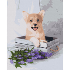 Грайливий коргі