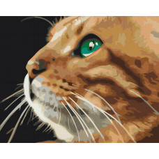 Погляд рижулі