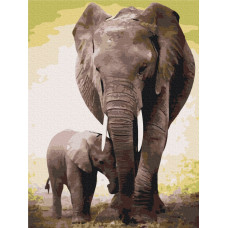 Перші дні слоненя