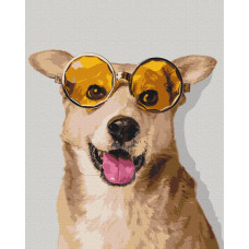 Коргі-хіпстер