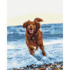 Собачка в морі