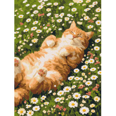 Котик у ромашках