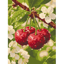 Перші краплі