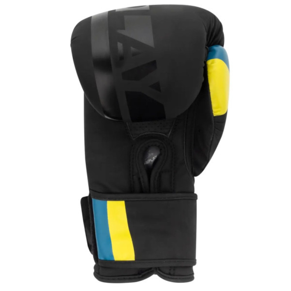 Боксерські рукавички PowerPlay 3021 Ukraine Чорні 10 унцій (PP_3021_10oz_Black)