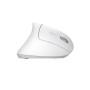 Мишка Trust Verto Ergonomic Wireless White (25132) Мишка Trust Verto Ergonomic Wireless White (25132)