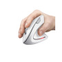Мишка Trust Verto Ergonomic Wireless White (25132) Мишка Trust Verto Ergonomic Wireless White (25132)