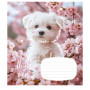 Зошит Школярик Fluffy vibes 12 аркушів клітинка (012-3546K) Зошит Школярик Fluffy vibes 12 аркушів клітинка (012-3546K)