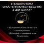 Сухий корм для кішок Purina Pro Plan Veterinary Diets DM ST/OX Diabetes Management Для регулювання надходження глюкози (цукровий діабет) 1.5 кг (7613035159822) Сухий корм для кішок Purina Pro Plan Veterinary Diets DM ST/OX Diabetes Management Для регулювання надходження глюкози (цукровий діабет) 1.5 кг (7613035159822)